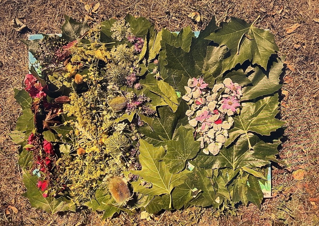 2026 07 14 Landart 1